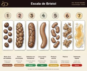 Ilustração da Escala de Bristol com os 7 tipos de fezes: 1 e 2 indicam constipação, 3 e 4 são o padrão ideal, 5 indica falta de fibras, 6 e 7 indicam diarreia